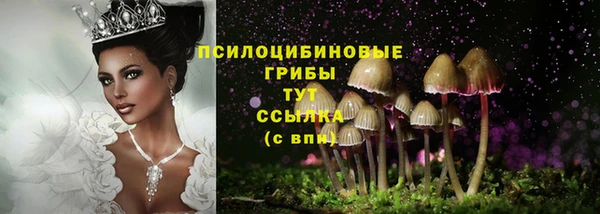 2c-b Волосово