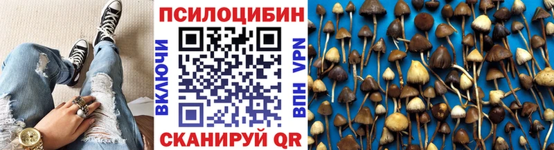 Псилоцибиновые грибы мухоморы  Ногинск 